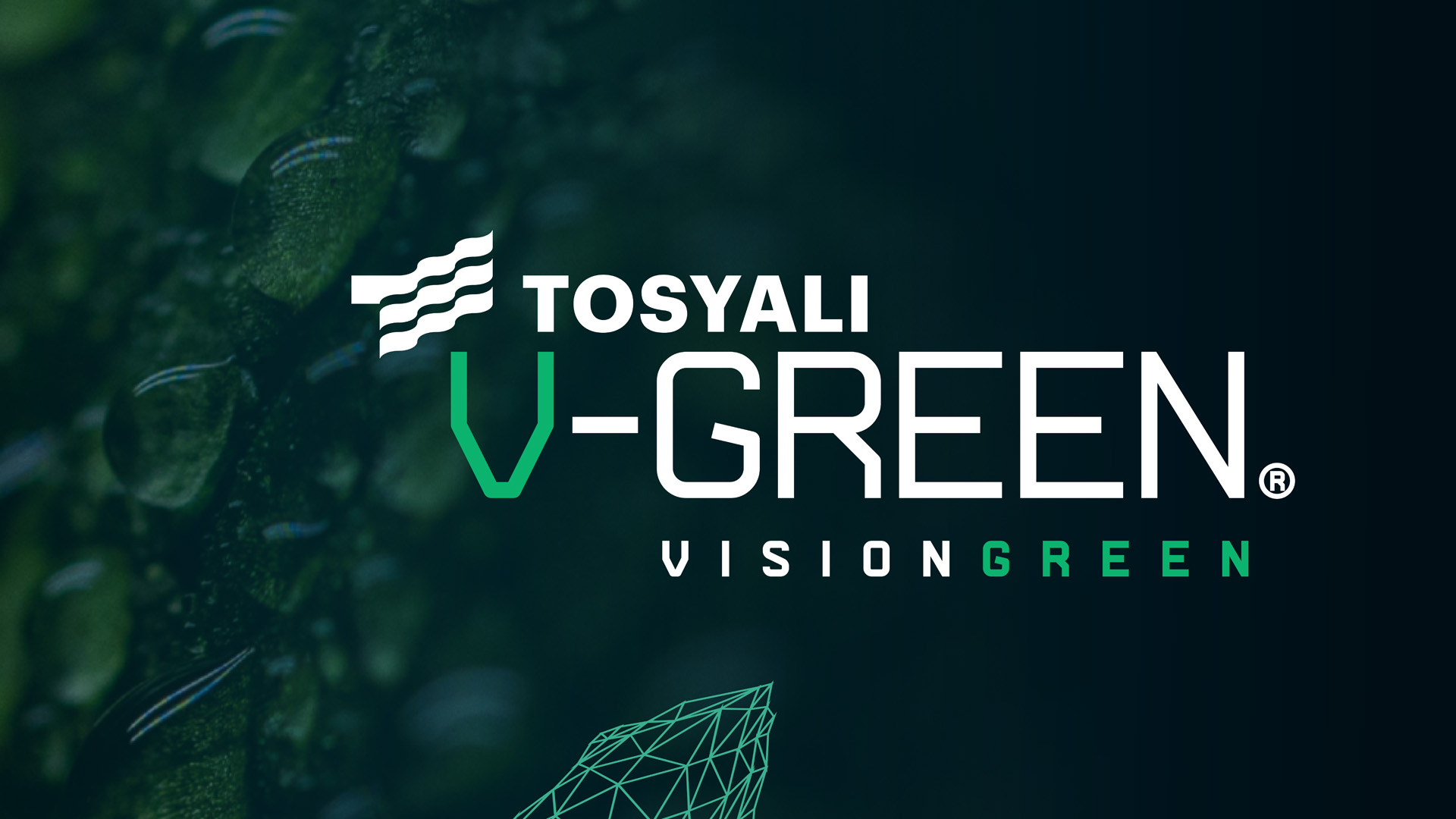 TOSYALI YEŞİL ÇELİK ÜRETİMİYLE KÜRESEL BÜYÜMESİNİ SÜRDÜRÜYOR